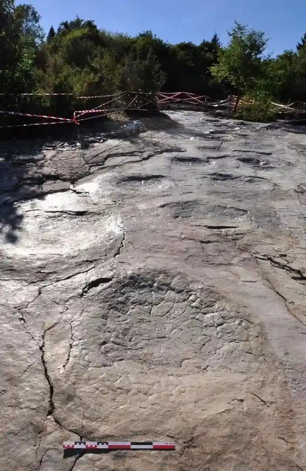a photograph of a cracked, rocky outdoor surface with several large, circular depressions that resemble footprints. Red and…