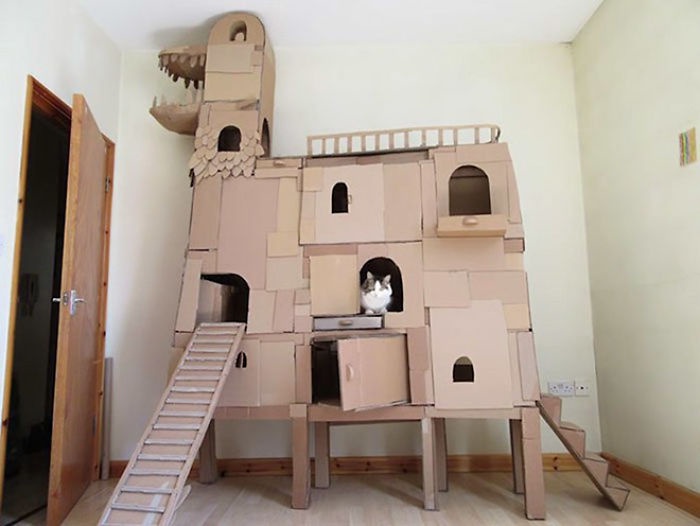 A cat with white and black fur sits inside a large, elaborate cardboard castle built in a room, featuring multiple levels…