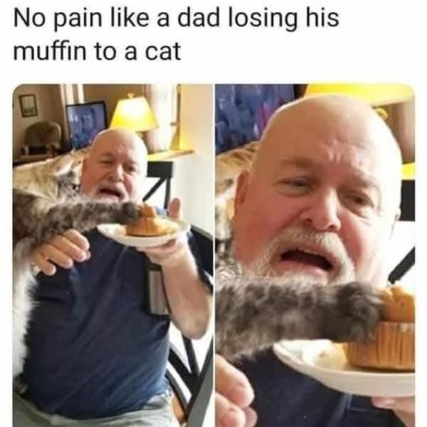 A split image shows a bald man holding a plate with a muffin, his face contorted in shock as a cat's paw reaches out and…