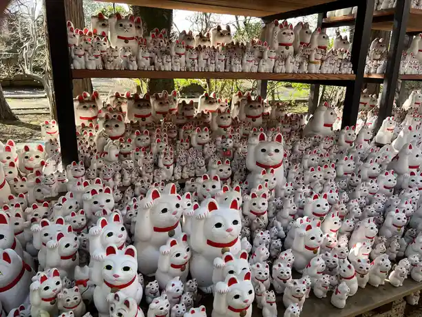 The image shows hundreds of white ceramic cat figurines, known as Maneki-neko or 'beckoning cats,' densely packed on wooden…