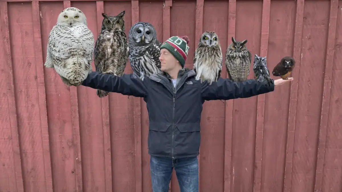 A man in a dark jacket and beanie stands with arms outstretched against a red wooden fence, with seven different owl species…