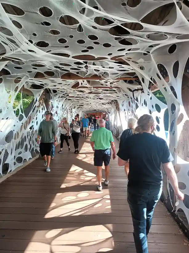 People walk through a wooden walkway covered in a large, white, web-like structure with many holes, resembling a giant…