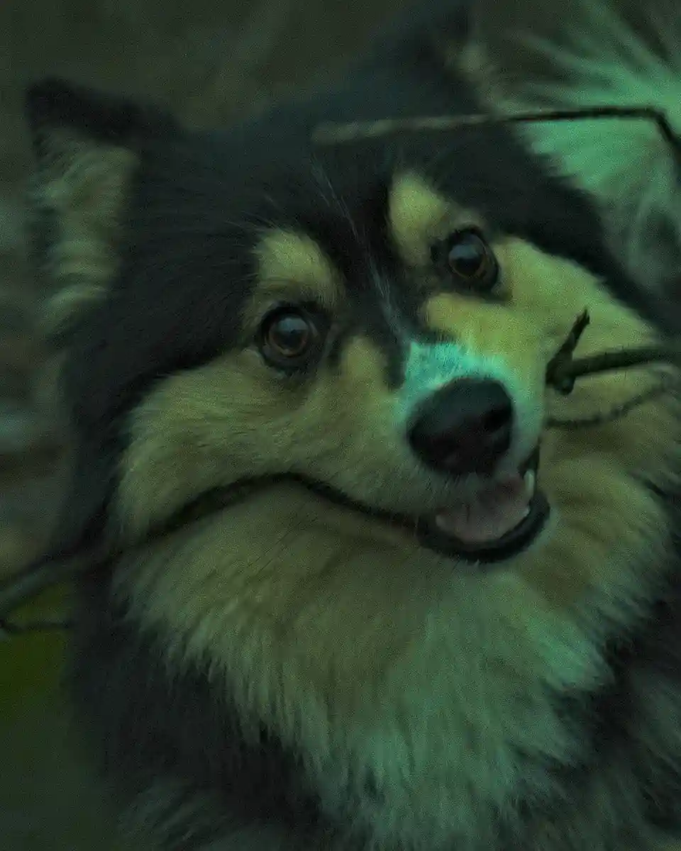 A close-up photo of a fluffy black and tan dog with wide, expressive eyes and a slightly open mouth, looking directly at the…