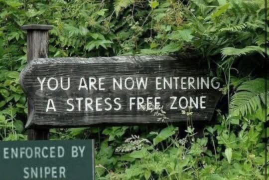 A weathered wooden sign surrounded by dense green foliage reads 'YOU ARE NOW ENTERING A STRESS FREE ZONE'. Below it, a…
