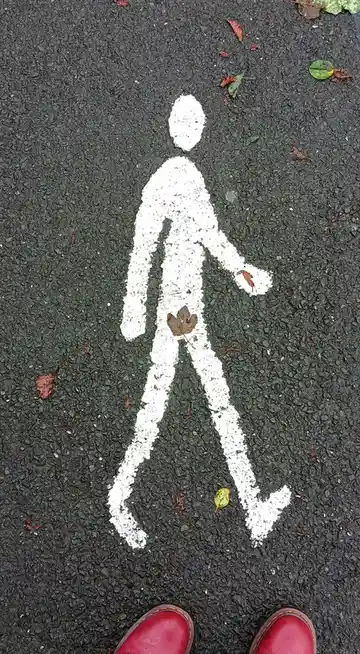 A top-down view shows a white pedestrian crossing symbol painted on dark asphalt, with a few scattered leaves. At the bottom…