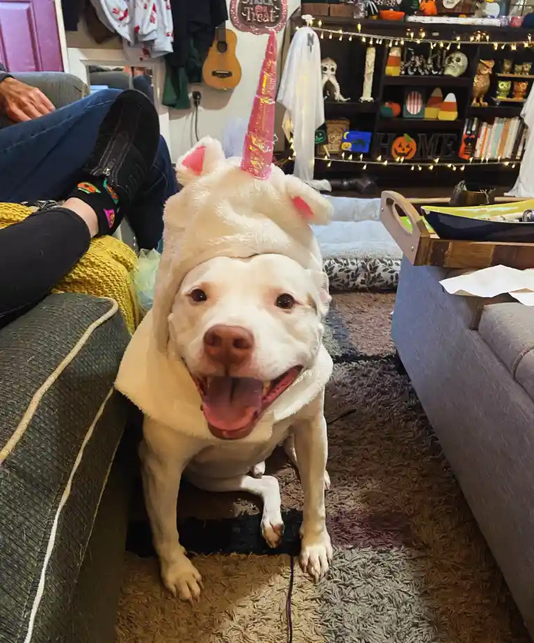 My Head Matches My Smile! Wishing You a Happy Halloween!