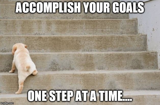 A small, light-colored puppy is seen from behind, slowly climbing a set of concrete stairs. The image has bold white text…