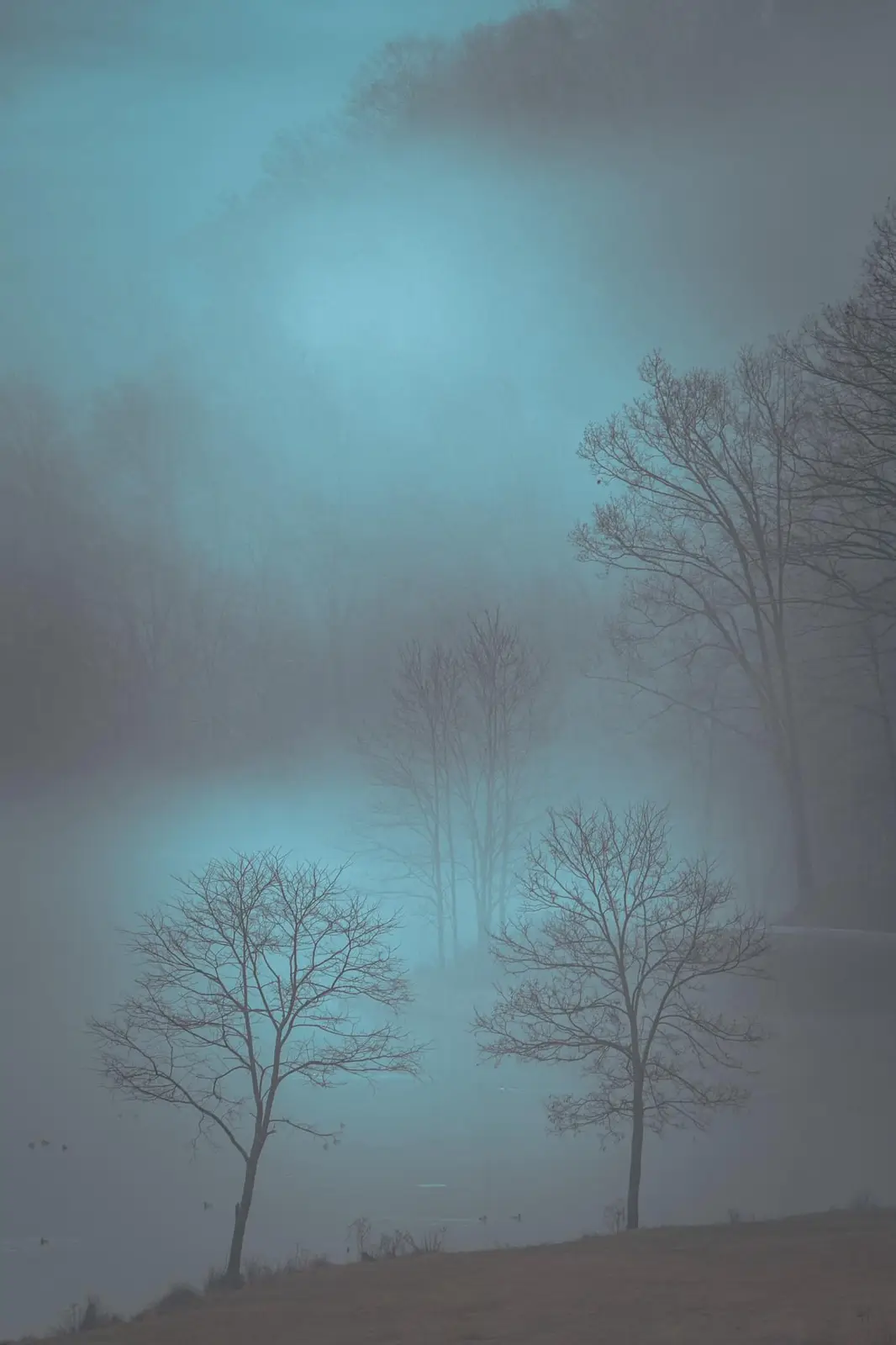 Mysterious Turquoise Mist: Nature's Enigma