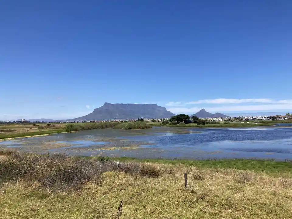 A scenic photo of Table Mountain and Lion's Head in Cape Town under a clear blue sky, with a foreground of grassy terrain…