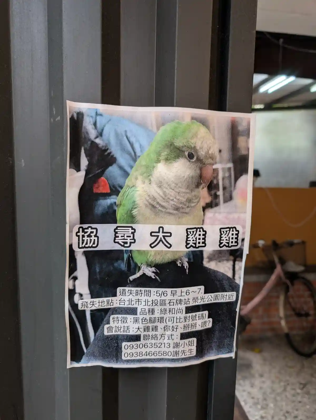 A lost pet poster for a green parrot is taped to a metal pole, featuring a photo of the bird perched on a person's shoulder…