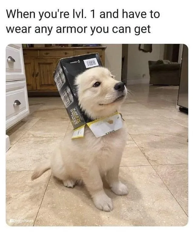 A small, fluffy white puppy sits on a tiled floor indoors, wearing a large, black and yellow cardboard box on its head like…
