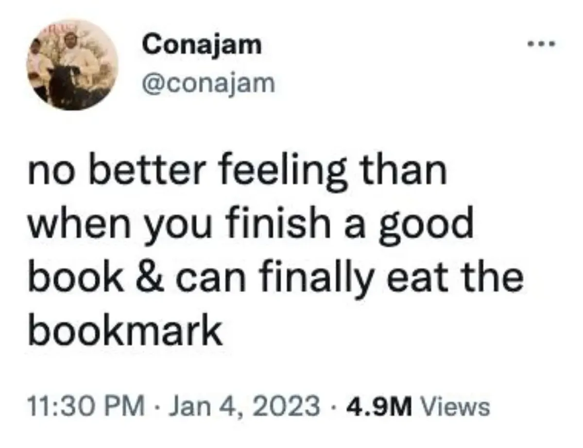 The Curious Case of Cheese and Bologna in Library Books Unveiled