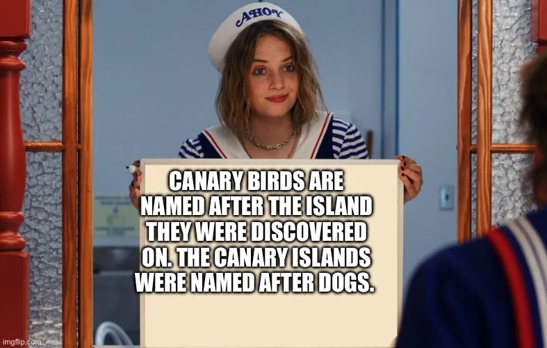 A woman in a sailor uniform holding a sign that reads 'CANARY BIRDS ARE NAMED AFTER THE ISLAND THEY WERE DISCOVERED ON. THE…