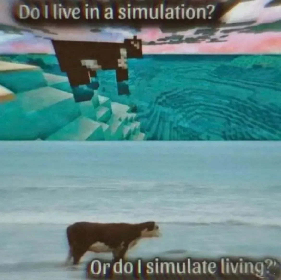 The image is split into two halves: the top shows a pixelated cow in a blocky, Minecraft-style ocean landscape with the text…