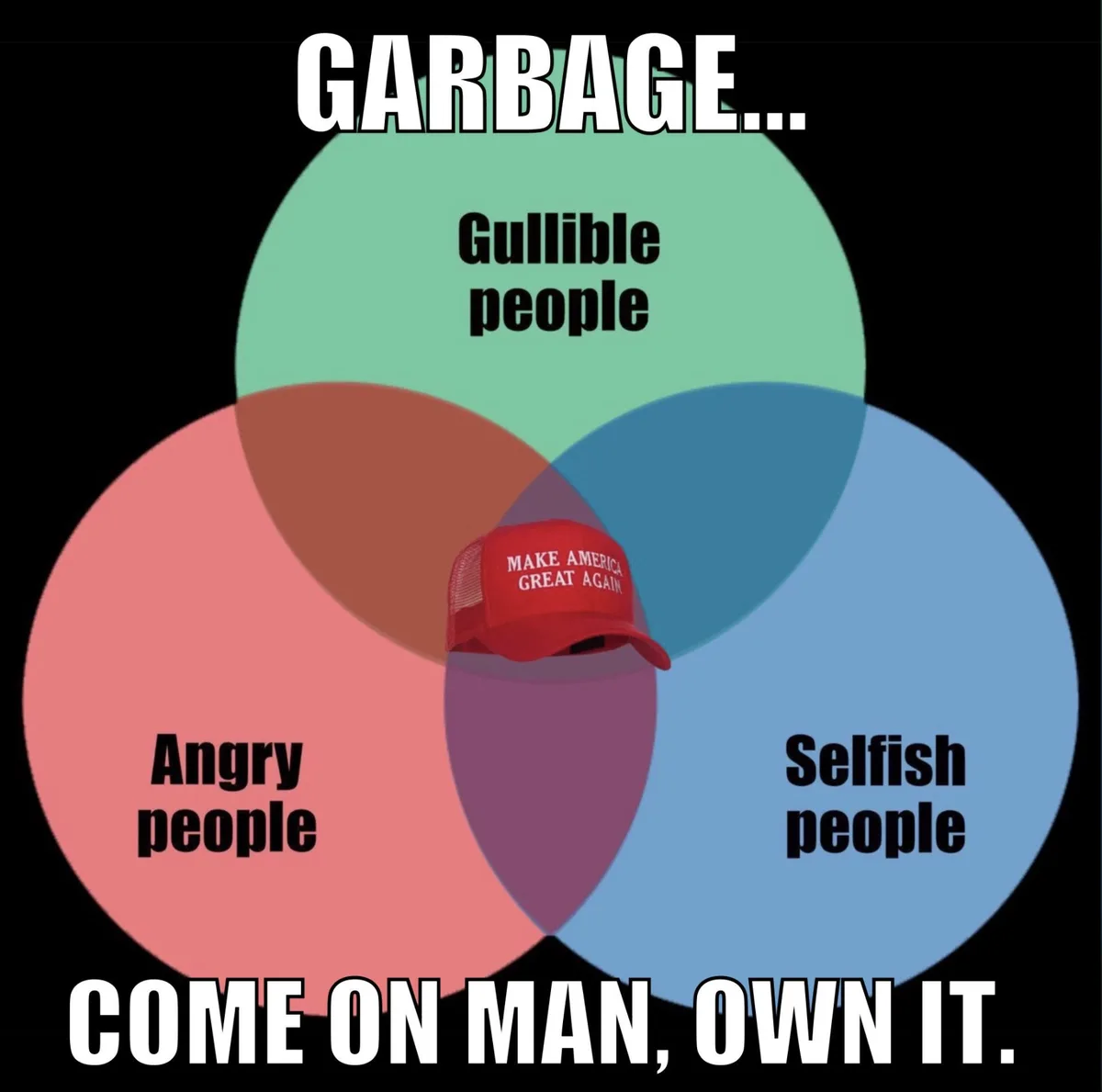 A Venn diagram with three overlapping circles labeled 'Gullible people', 'Angry people', and 'Selfish people'. A red 'MAKE…