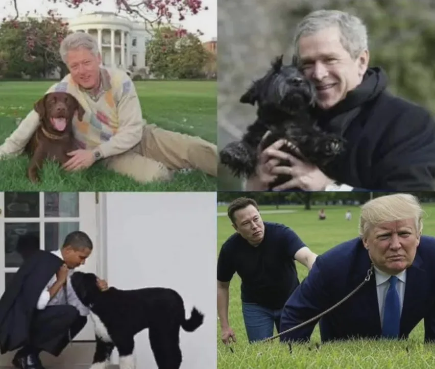 A four-panel image collage shows former U.S. presidents and Elon Musk with dogs. Top-left: Bill Clinton smiles while lying…