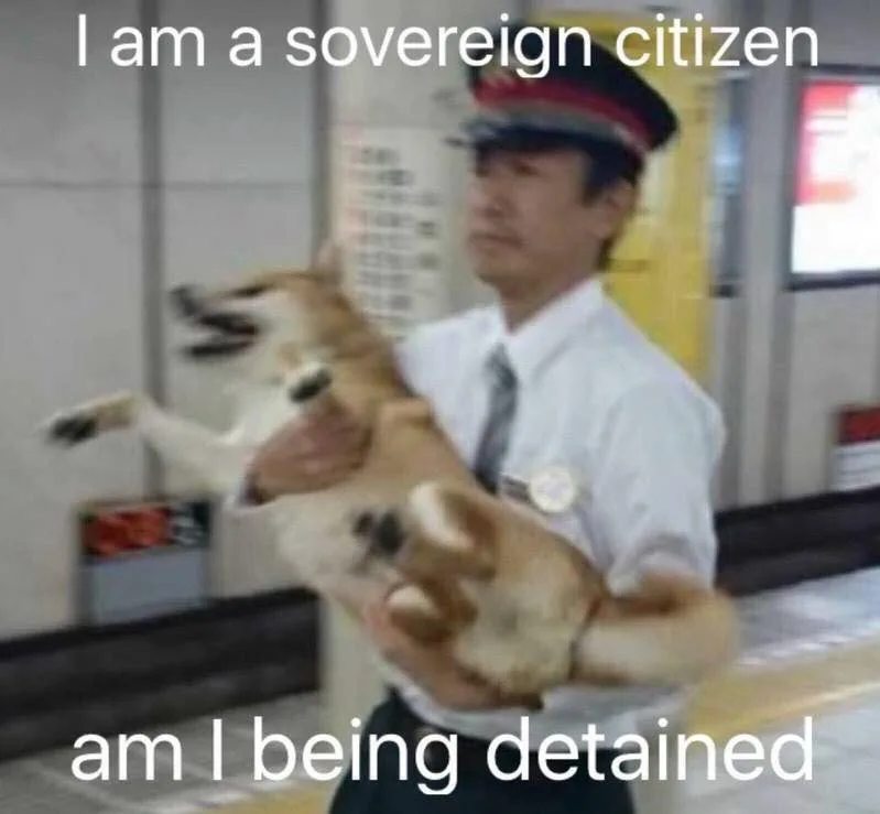 A man in a uniform holding a dog that is mid-air and appears to be struggling or jumping. The text overlaid on the image…