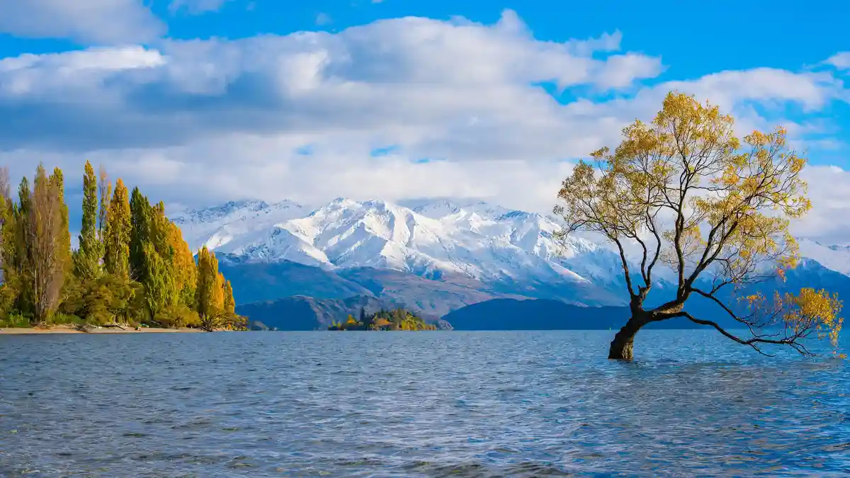 This iconic willow tree, dubbed #ThatWanakaTree, is a South Island icon and social media sensation. Planted in the waters of…