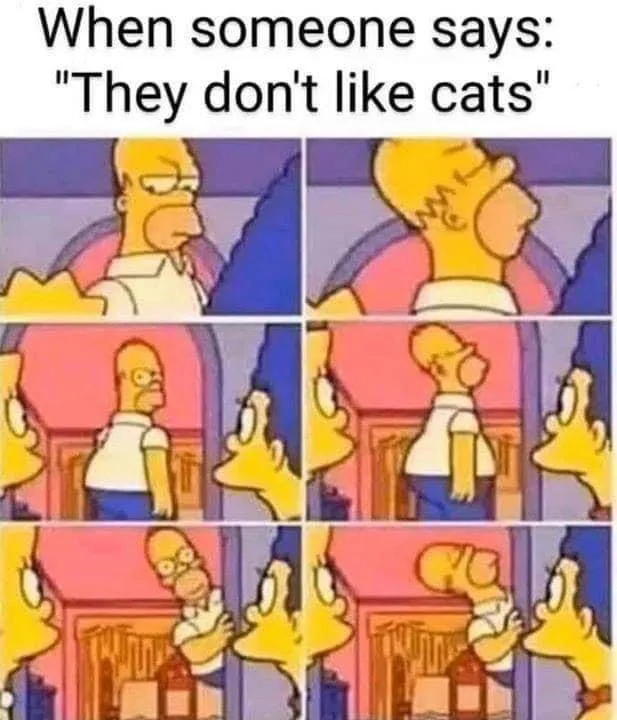 I Hear You All Are Cat Lovers!