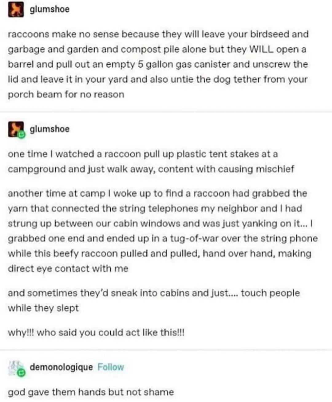 A screenshot of a Reddit thread where user 'glumshoe' recounts bizarre raccoon behaviors like leaving empty gas canisters…