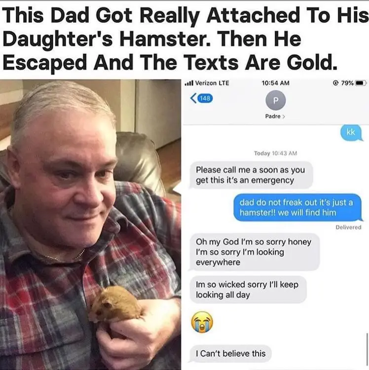 A man with gray hair in a plaid shirt holds a small brown hamster in his hands while smiling. Beside him is a screenshot of…