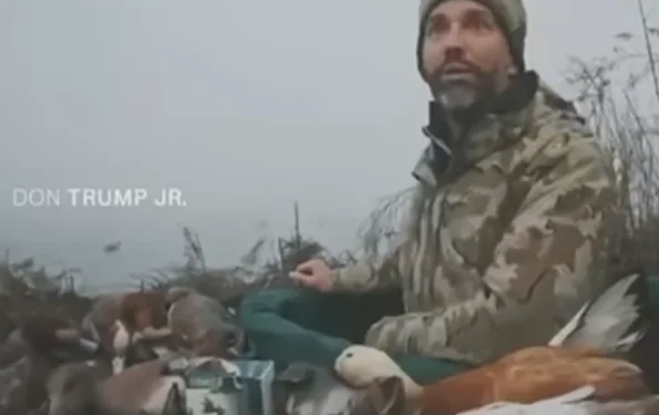 A man in camouflage clothing and a beanie sits outdoors in a foggy, marshy area surrounded by numerous ducks, some of which…