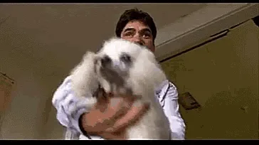 A man in a white shirt holds a small white dog, then turns to look at the camera with a serious expression. He then moves to…