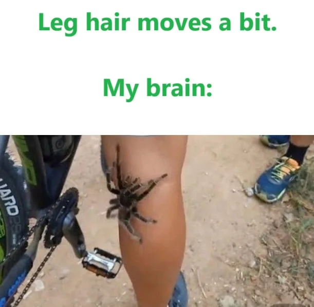 A large tarantula is crawling on a person's bare leg while they are on a bicycle. The overlaid green text reads 'Leg hair…