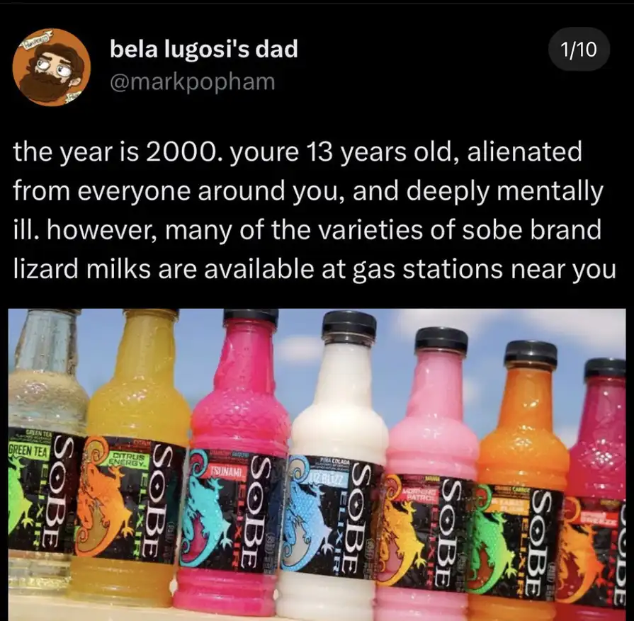 A row of colorful Sobe brand 'lizard milk' energy drinks in various flavors like Green Tea, Citrus Energy, Tsunami, and Pine…