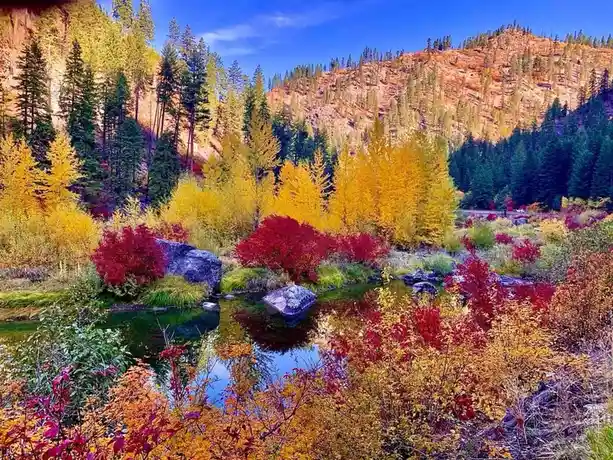 The Beauty of Autumn Unfolds