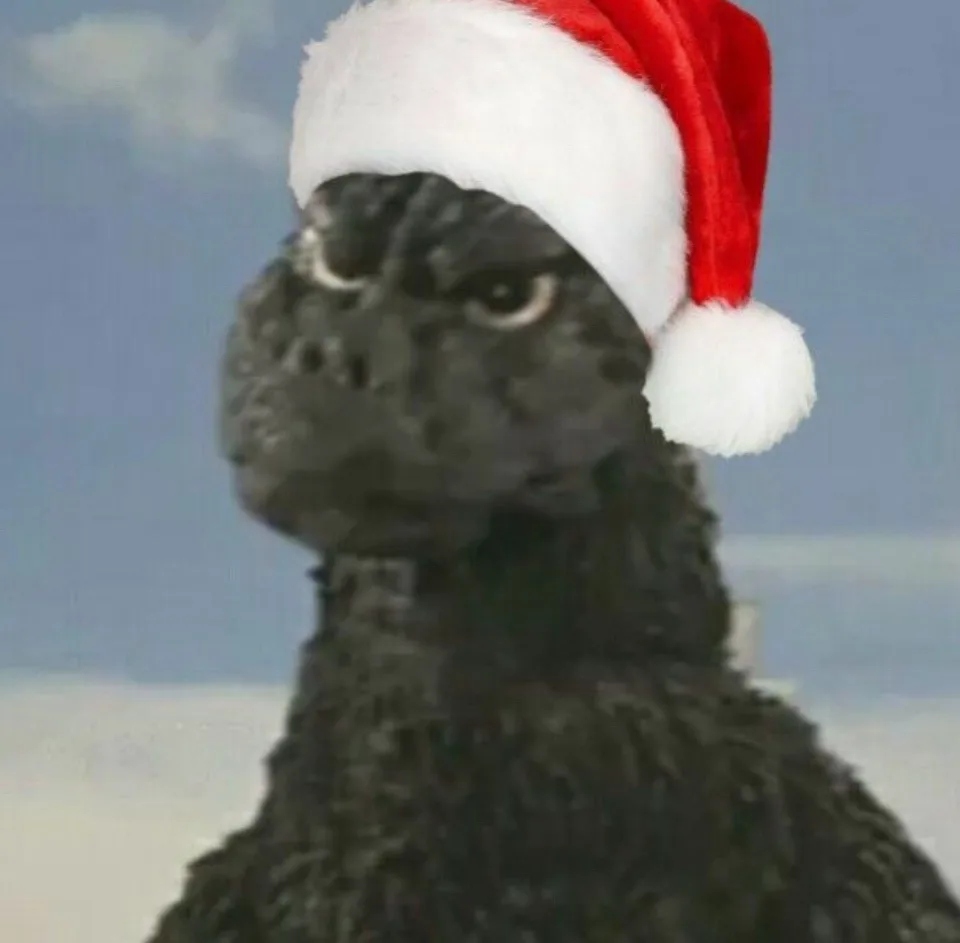 Merry Christmas to Everyone!