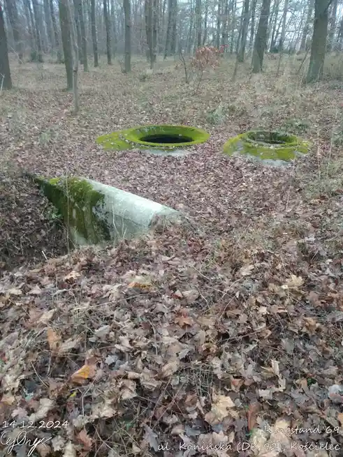 A photo of three moss-covered concrete structures in a forest, two circular openings and one cylindrical piece lying on the…