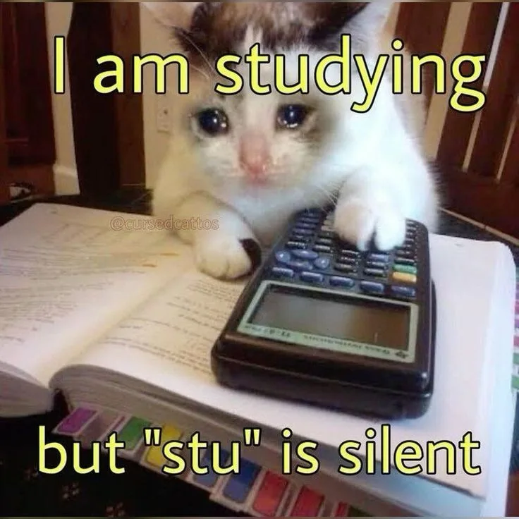 A close-up photo of a fluffy white and brown kitten with large, pleading eyes, resting its paws on a calculator placed atop…