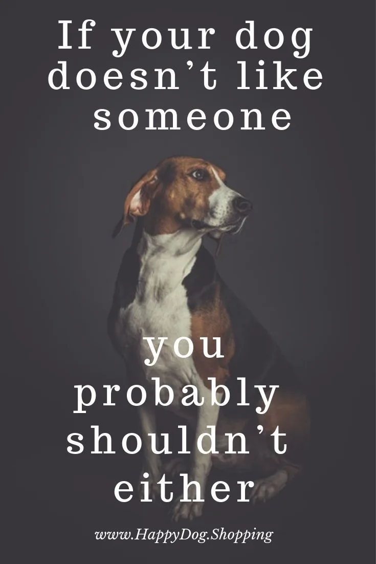 A brown and white dog sits against a dark gray background, looking off to the side. White text overlaid on the image reads…