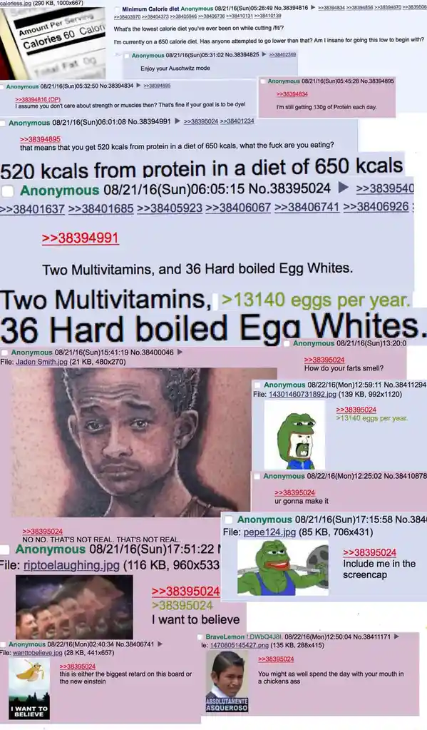 A screenshot of a 4chan thread where a user claims to get 520 calories from protein on a 650-calorie diet by eating two…