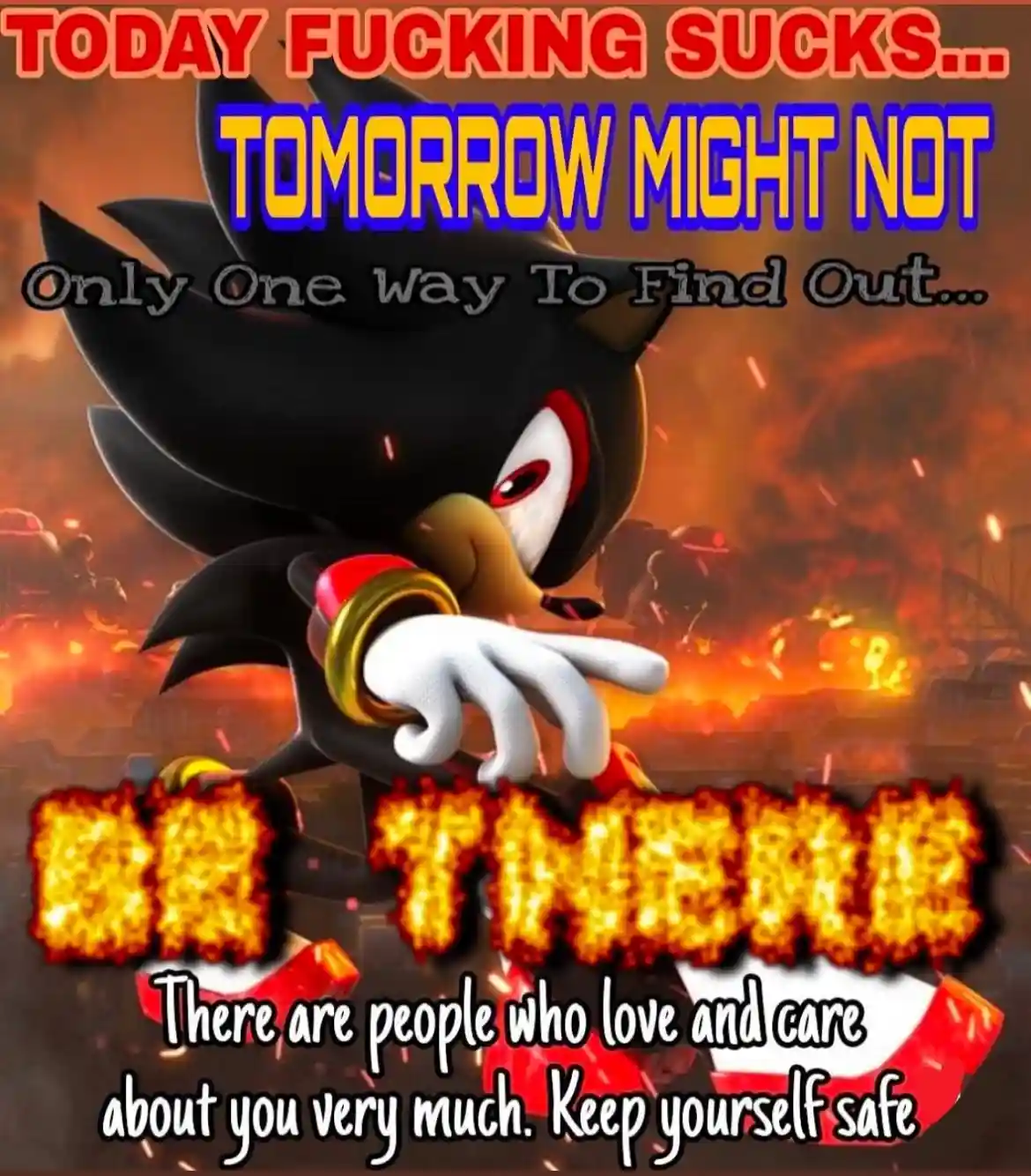 The image features the video game character Shadow the Hedgehog pointing forward against a fiery, apocalyptic background…