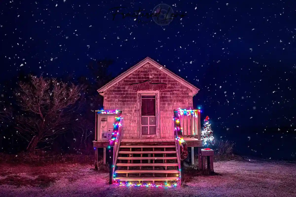 A small wooden shack labeled 'NATURALIST SHACK' is illuminated at night by colorful Christmas lights draped on its porch and…