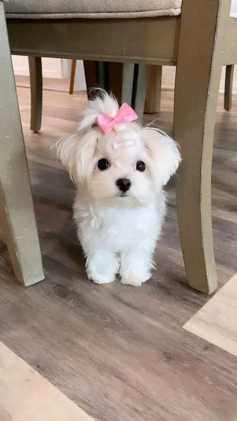 Just a Girl Living Her Best Life