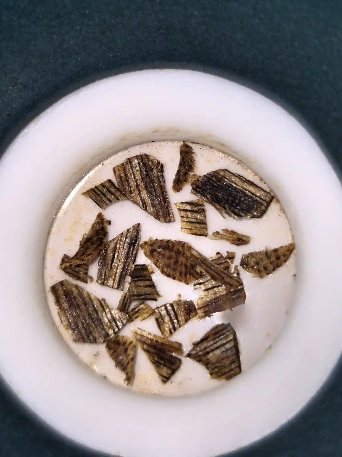 A top-down view of a white ceramic bowl containing numerous broken, charred, and crumpled pieces of what appears to be a…