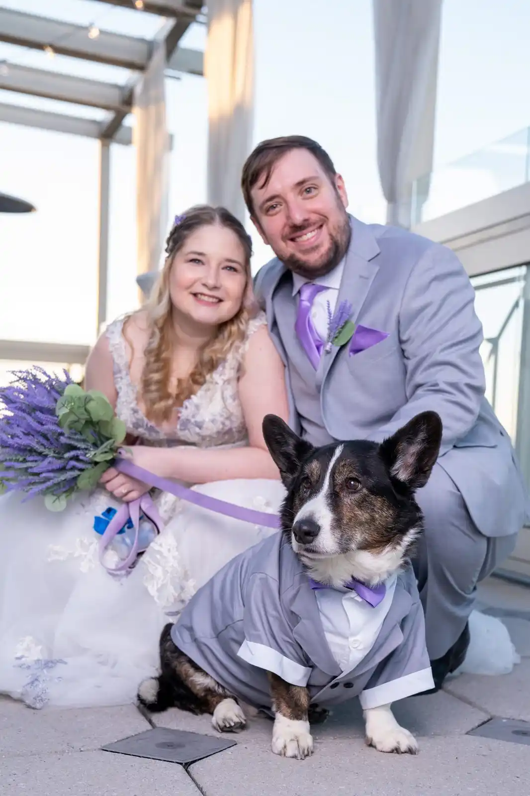 A bride and groom in matching grey wedding attire with purple accents pose with their corgi, who is also dressed in a…
