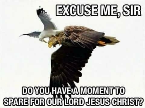 An eagle is shown flying with another bird, possibly a seagull, perched on its back. The image has bold white text overlaid…