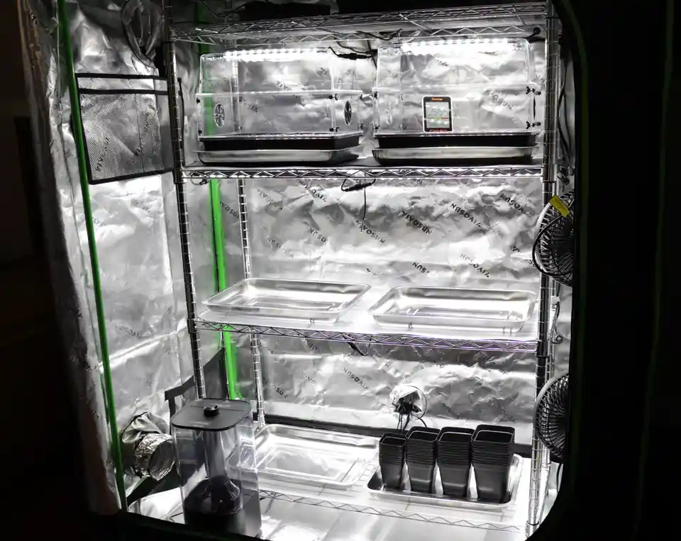 An indoor grow tent with reflective silver walls and green frame, featuring multiple metal shelves holding trays, clear grow…