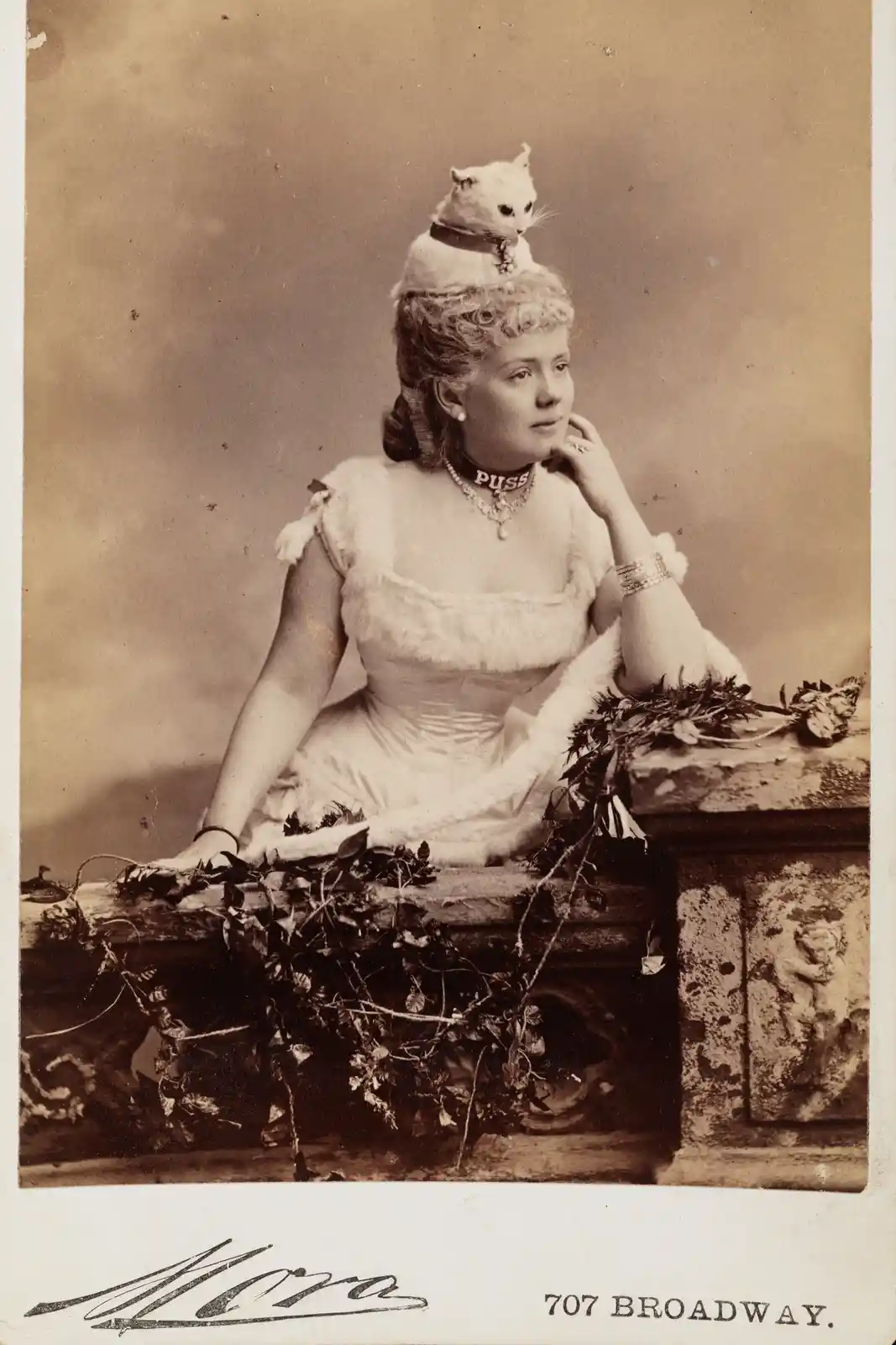 A vintage sepia-toned portrait shows a woman in an ornate white dress seated on a stone ledge adorned with ivy. A white cat…