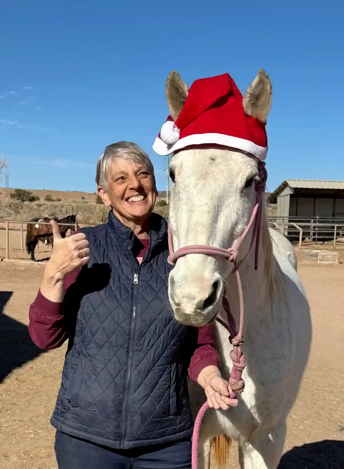 A smiling woman in a blue vest gives a thumbs-up while standing next to a white horse wearing a red Santa hat with a white…