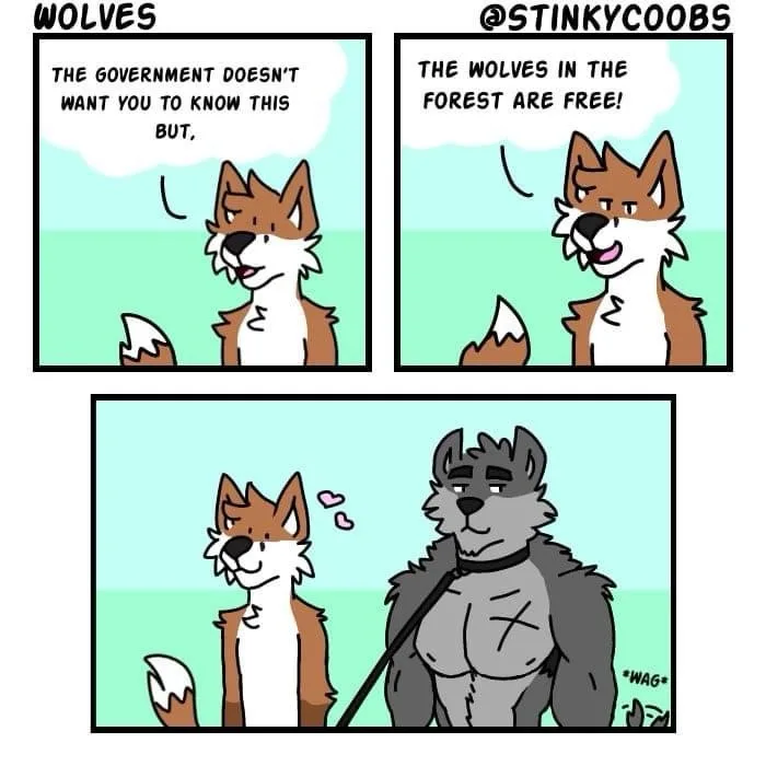 A three-panel comic strip featuring cartoon wolves. In the first panel, a brown and white wolf says, 'THE GOVERNMENT DOESN'T…