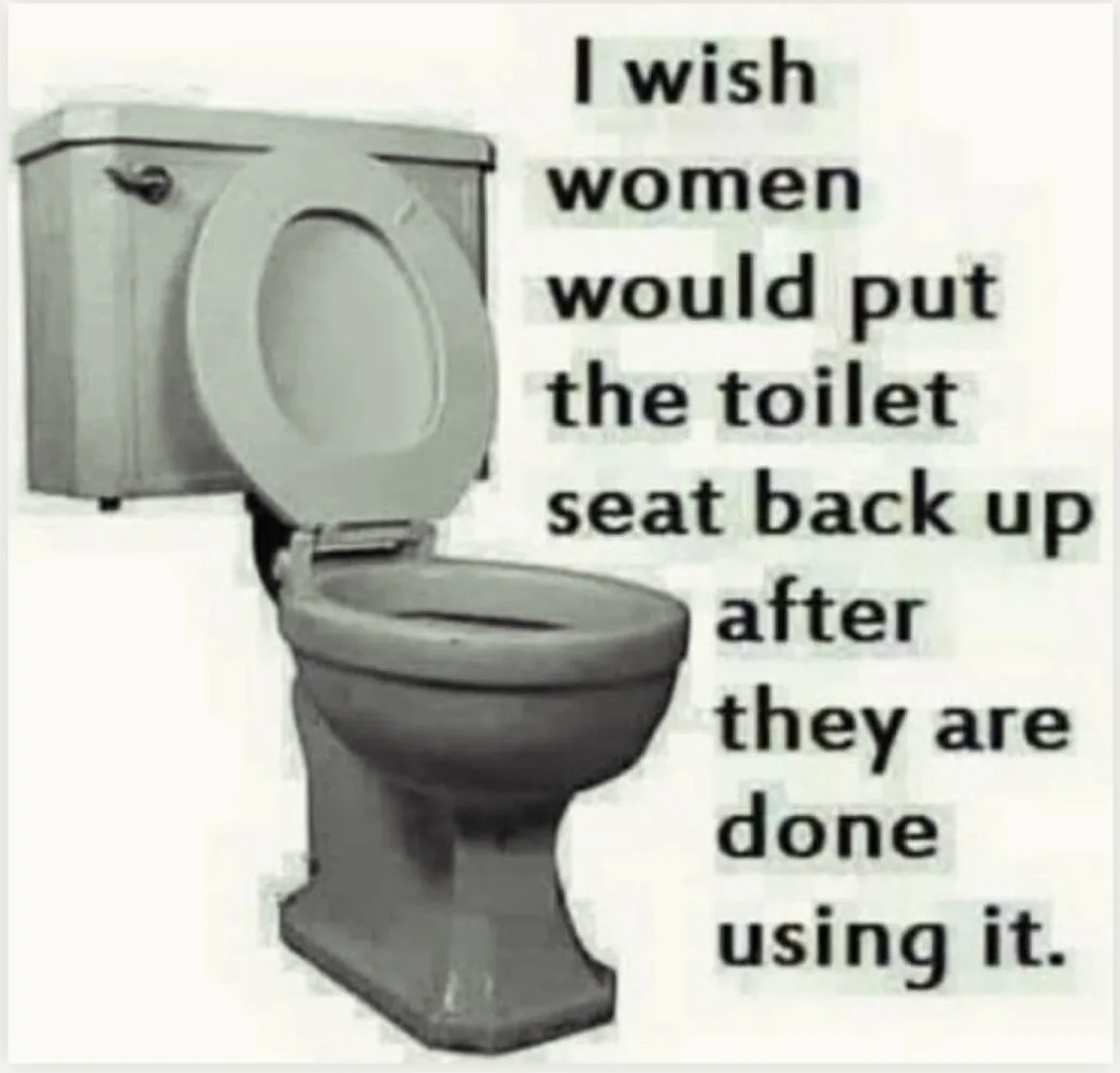A grayscale image of a toilet with the seat lifted up, accompanied by text that reads 'I wish women would put the toilet…