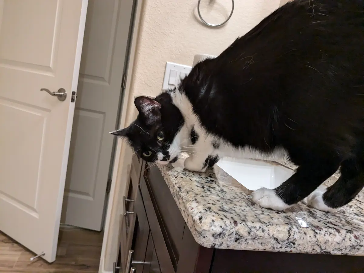When You Need Supervision Just to Use the Bathroom