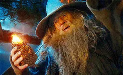 A six-panel comic strip showing Gandalf the wizard holding a torch, climbing a tree, and then lighting a forest fire while a…