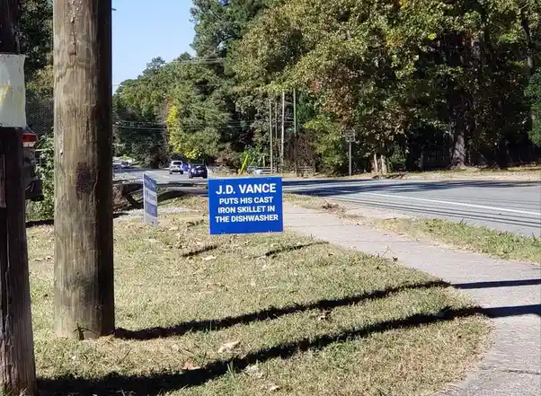 A blue political campaign sign is stuck in a grassy roadside area next to a sidewalk and a wooden utility pole. The sign…