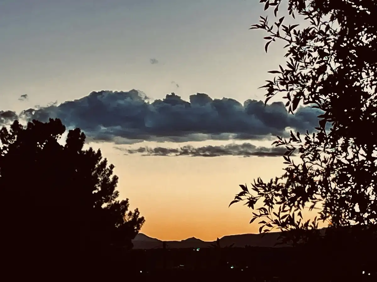 A serene sunset or sunrise photo framed by silhouetted tree branches, showing a gradient sky from orange near the horizon to…